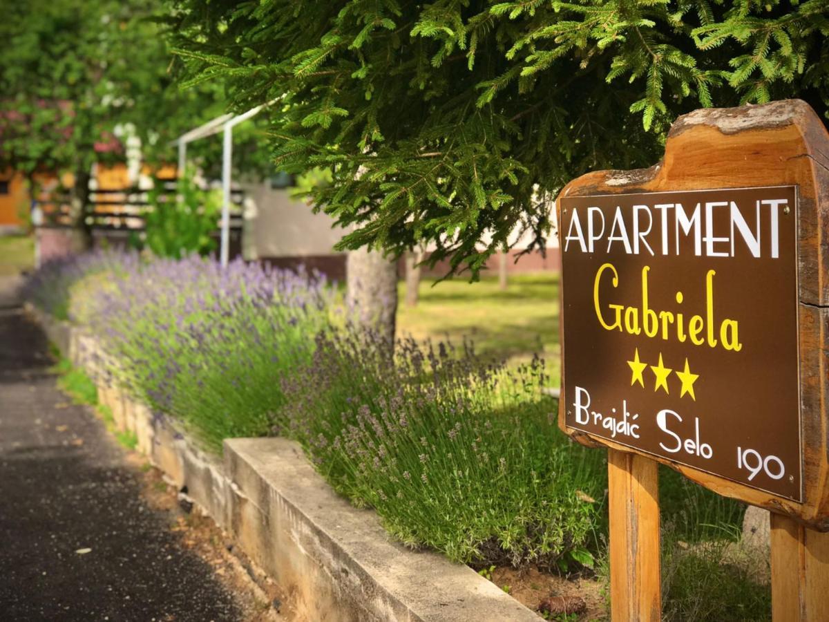 Apartment Gabriela 拉科维察 外观 照片